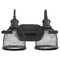 Quorum Lighting Omni Noir Bathroom Light by Quorum Lighting 5212-2-69