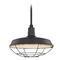 Recesso Lighting by Dolan Designs Black Pendant Barn Light with 18-Inch Caged Shade BL-STM-BLK/BL-SH18-BLK/BL-CG18-BLK