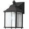 Dolan Designs Lighting 10-1/4-Inch Outdoor Wall Light 931-50