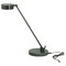 House of Troy Lighting Generation Granite LED Desk Lamp by House of Troy Lighting G450-GT