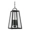 Capital Lighting Leighton 23-Inch High Black Outdoor Hanging Light by HomePlace by Capital Lighting 943744BK