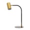 House of Troy Lighting Cavendish Weathered Brass & Black LED Desk Lamp by House of Troy Lighting C350-WB/BLK