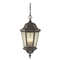 Generation Lighting Martinsville Outdoor Hanging Light in Corinthian Bronze by Generation Lighting OL5911CB