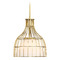 Designers Fountain Lighting Evensong 12-Inch Pendant in Brushed Gold by Designers Fountain D340M-12P-BG