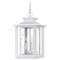 Quoizel Lighting Wakefield Outdoor Hanging Light in White Lustre by Quoizel Lighting WKF1911W
