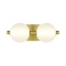 Eurofase Lighting Palmas 2-Light LED Vanity Light in Gold by Eurofase Lighting 47192-010