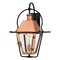 Quoizel Lighting Rue De Royal Aged Copper Outdoor Wall Light by Quoizel Lighting RO8418AC