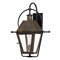 Quoizel Lighting Rue De Royal Industrial Bronze Outdoor Wall Light by Quoizel Lighting RO8418IZ