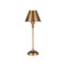 Currey and Company Lighting Rowsay Table Lamp in Antique Brass by Currey & Company Lighting 6000-1059