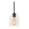 AFX Lighting Afx Lighting William Black Mini-Pendant Light with Bowl / Dome Shade WMMP06MBBK