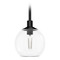 Hunter Fan Company Hunter Fan Company Xidane Matte Black Mini-Pendant Light with Globe Shade 19508