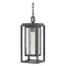 Hinkley Republic Oil Rubbed Bronze LED Outdoor Hanging Light by Hinkley Lighting 1002OZ-LL