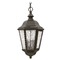 Hinkley Traditional LED Seeded Glass Bronze Outdoor Hanging Light by Hinkley Lighting 1672OZ-LL