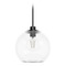 Hunter Fan Company Hunter Fan Company Xidane Matte Black Pendant Light with Globe Shade 19512