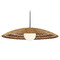 Currey and Company Lighting Currey and Company Barbary Natural All-Weather Wicker & Black Outdoor Hanging Light 9500-0018