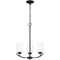 HomePlace by Capital Lighting Dixon 17.25-Inch Chandelier in Matte Black by HomePlace by Capital Lighting 415231MB-338