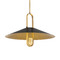 Minka Lavery Goldenridge 20-Inch Pendant in Brass & Matte Black by Minka Lavery 152-876