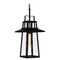 Quoizel Lighting Devonport Outdoor Hanging Light in Matte Black by Quoizel Lighting DEV1910MBK