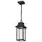 Nuvo Lighting Austen Smart LED RGBTW CCT Outdoor Hanging Light in Black by Nuvo 62-5996