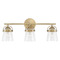 HomePlace by Capital Lighting Madison 23.25-Inch Vanity Light in Aged Brass by HomePlace Lighting 147031AD-534
