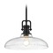 Design Classics Lighting Industrial Clear Glass Pendant Light Black Finish 14-Inch Wide 1763-07 G1784-CL