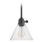 Hinkley Arti Small Pendant in Black by Hinkley Lighting 3697BK-CL