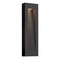 Hinkley Luna 24-Inch Bronze Outdoor Wall Light by Hinkley Lighting 1669BZ