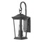 Hinkley Bromley 20-Inch Outdoor Wall Light in Museum Black by Hinkley Lighting 2364MB