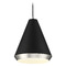 Meridian 10-Inch Mini Pendant in Black & Polished Nickel by Meridian  M70122MBKPN