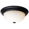 Nuvo Lighting Matte Black Flush Mount by Nuvo Lighting 60-129