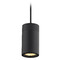 Recesso Lighting by Dolan Designs LED Cylinder Pendant in Black 2700K by Recesso TR1051V2-27-BK