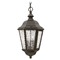 Hinkley Edgewater 19.50-Inch High Oil Rubbed Bronze Outdoor Hanging Light by Hinkley Lighting 1672OZ