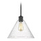 Generation Lighting Belton 12-Inch Pendant in Midnight Black by Generation Lighting 6227801-112