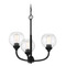 Craftmade Lighting Glenda Flat Black Chandelier by Craftmade Lighting 56223-FB