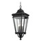 Generation Lighting Cotswold Lane Black Outdoor Hanging Light by Generation Lighting OL5414BK