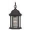 Craftmade Lighting Hex Style Matte Black Outdoor Hanging Light by Craftmade Lighting Z291-TB