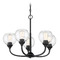 Craftmade Lighting Glenda Flat Black Chandelier by Craftmade Lighting 56225-FB