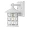 Hinkley Seeded Glass Outdoor Wall Light Classic White by Hinkley Lighting 1800CW