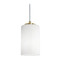 AFX Lighting Afx Lighting Leo Light Antique Brass Mini-Pendant Light with Cylindrical Shade LEOP04MBLB