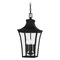 Quoizel Lighting Quoizel Lighting Quentin Earth Black Outdoor Hanging Light QTN1910EK