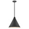 Hinkley Arti Medium Pendant in Black by Hinkley Lighting 3694BK