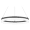 Quoizel Lighting Cohen Oil Rubbed Bronze LED Pendant by Quoizel Lighting PCOH2824OI