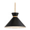 Vaxcel Lighting Vaxcel Lighting Racine Matte Black & Natural Brass Pendant Light with Conical Shade P0398