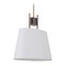 Craftmade Lighting Parker 17.50-Inch Wide Fired Steel & Satin Brass Pendant by Craftmade Lighting 44491-FSSB