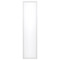 Nuvo Lighting White LED Flush Mount by Nuvo Lighting 65-573R1