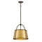 Hinkley Clarke 16.25-Inch Pendant in Black & Dark Brass by Hinkley Lighting 4894BK-LDB