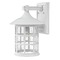 Hinkley Seeded Glass Outdoor Wall Light Classic White by Hinkley Lighting 1805CW