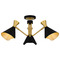 Quoizel Lighting Quoizel Lighting Arden Matte Black & Gold Semi-Flushmount Light ADN1726MBK