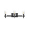 Hinkley Ryden 3-Light Bath Light in Black by Hinkley Lighting 58063BK