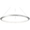 Modern Forms by WAC Lighting the Ring Brushed Aluminum LED Pendant by Modern Forms PD-55048-30-AL